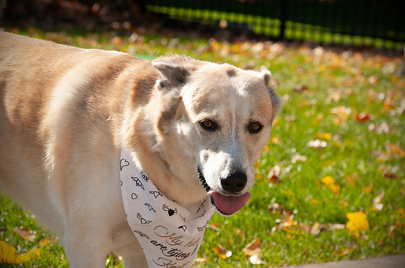 DSC_3560